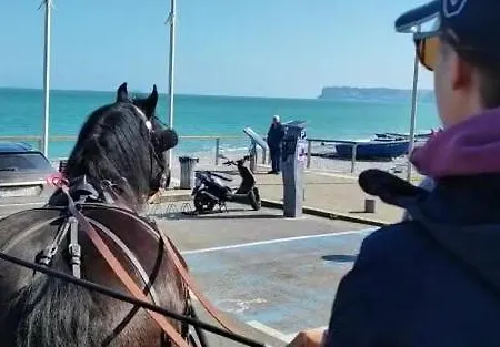 Veritable Roulotte Hippomobile 