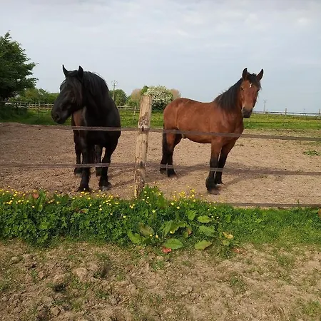 Veritable Roulotte Hippomobile 